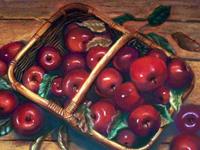 Apfelkorb, 40 x 50 cm, Pastellkreide auf Karton