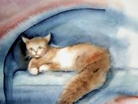 Katze, 25 x 35 cm, Aquarell