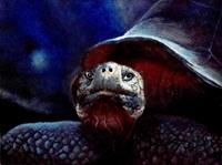 Blaue Schildkröte 30 x 40 cm Acryl auf Leinwand