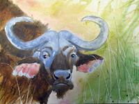 Büffel 50 x 70 cm Acryl auf Leinwand