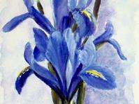Iris blau, 25 x 50 cm, Acryl auf Leinwand